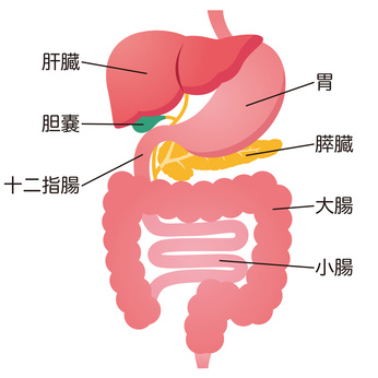 消化器内科・胃腸内科