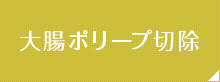 大腸ポリープ切除